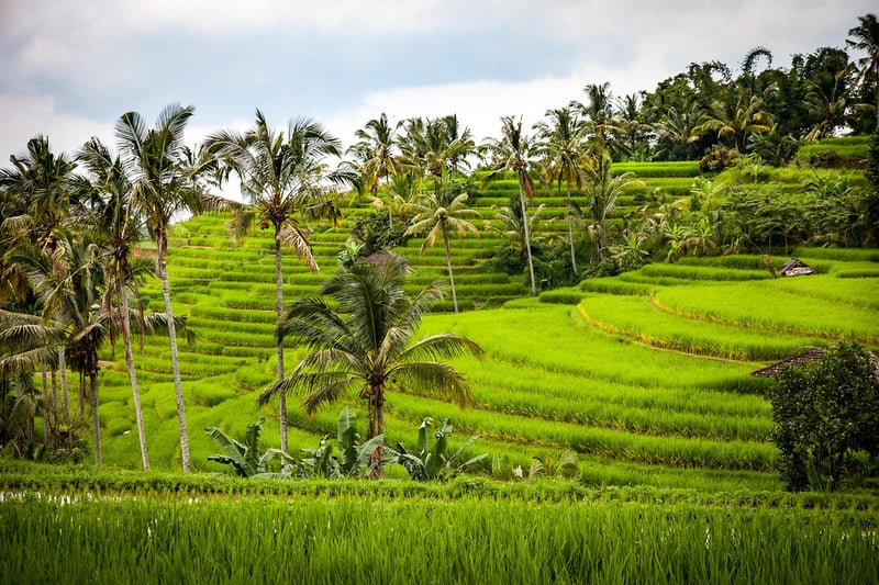 Ubud, Bali